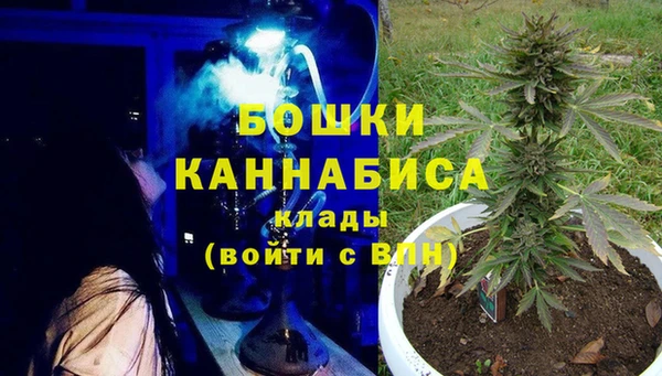 стаф Волосово