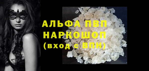 тгк Володарск