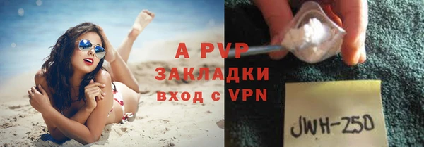 тгк Володарск