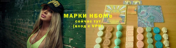 тгк Володарск