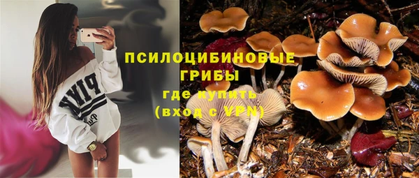 стаф Волосово