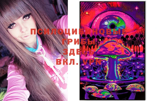 стаф Волосово