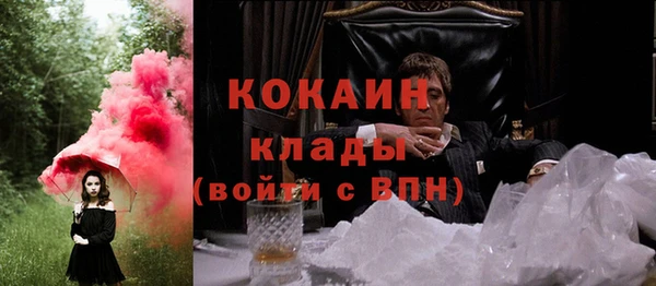 тгк Володарск