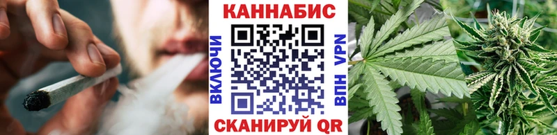 Конопля ГИДРОПОН  закладки  Кочубеевское 